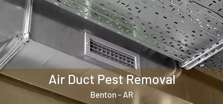  Air Duct Pest Removal Benton - AR