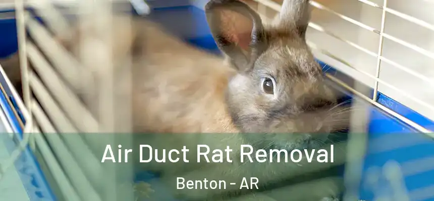 Air Duct Rat Removal Benton - AR