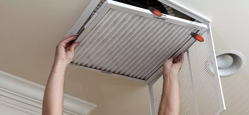 Preventive Cockroach-Proofing for Ducts in Benton