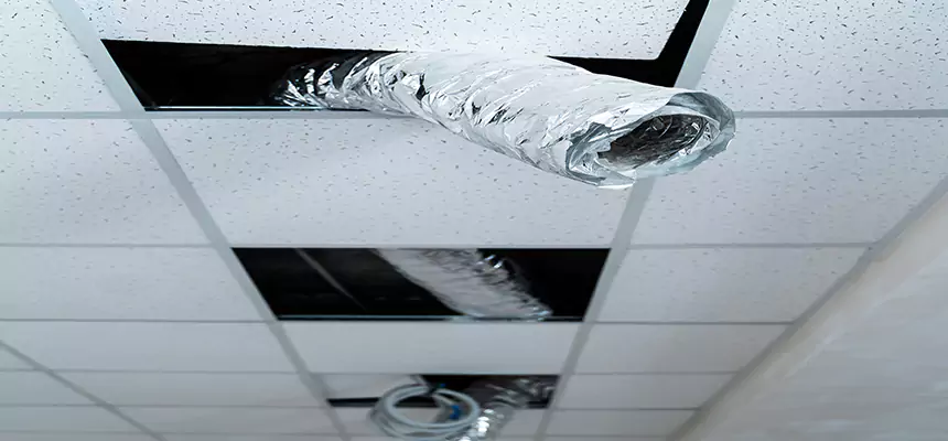 Our Air Duct Pet Hair Removal Services in Benton, AR