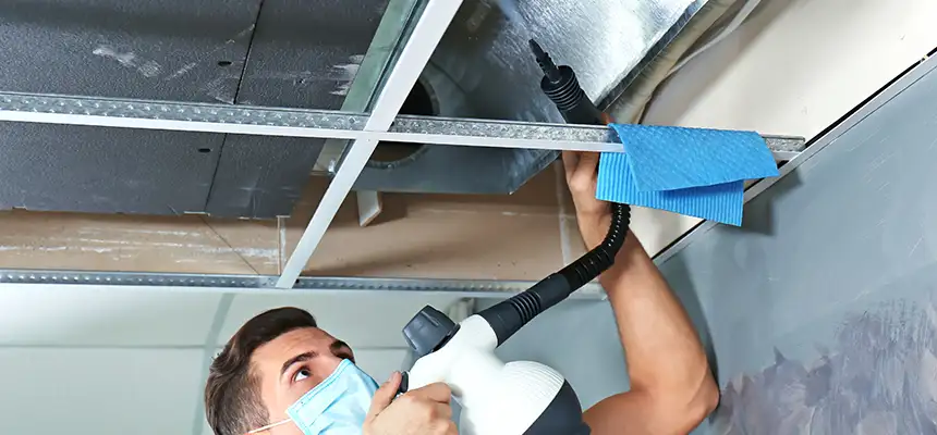 Our Air Duct Rodent Removal Services in Benton, AR