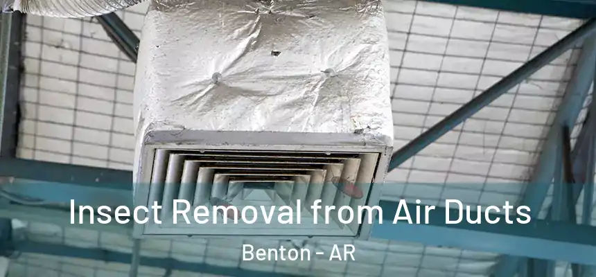 Insect Removal from Air Ducts Benton - AR