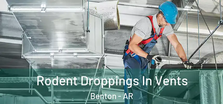 Rodent Droppings In Vents Benton - AR
