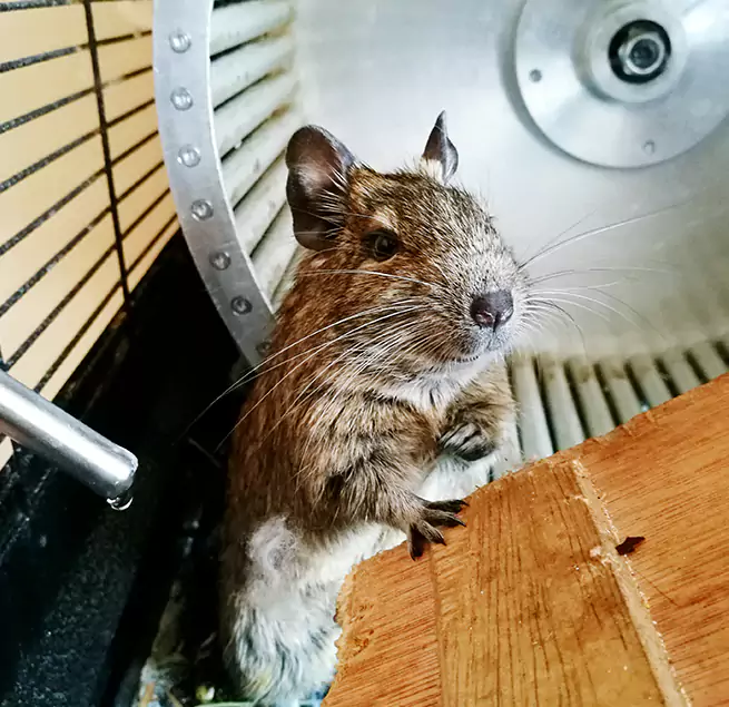 Why Homeowners & Businesses Trust Us Benton, AR